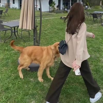 春花焰